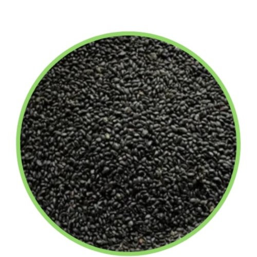 Ambika Sweet Basil Seed (1kg)