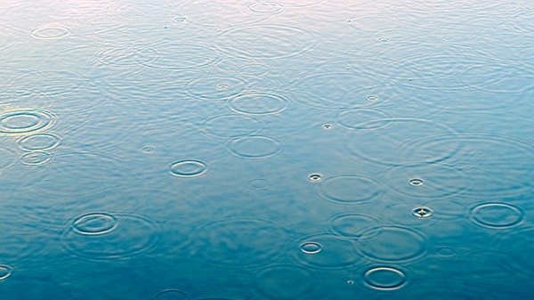 雨の日にはバズベイト！