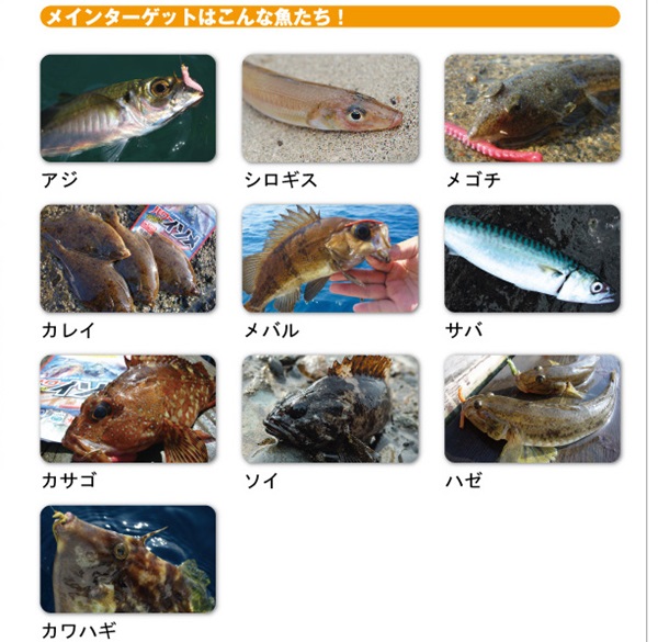 パワーイソメで釣れる魚たち！
