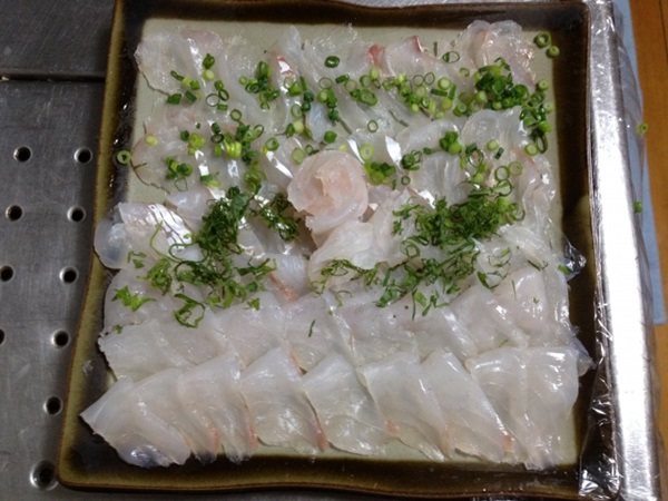 マゴチ釣り　釣ったマゴチは刺身に