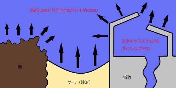 ショアジギングで狙いたいポイント