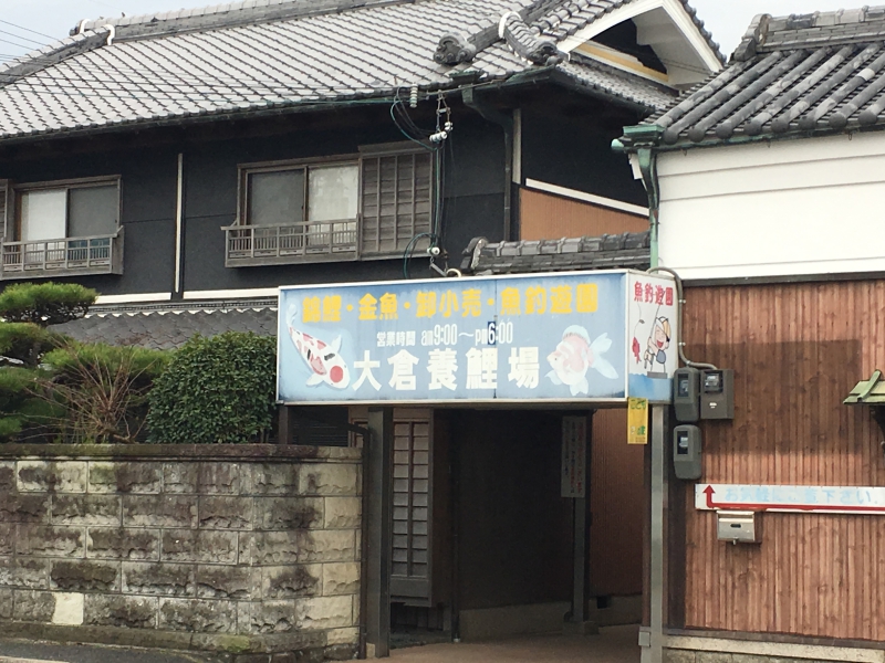 大倉養鯉場の画像