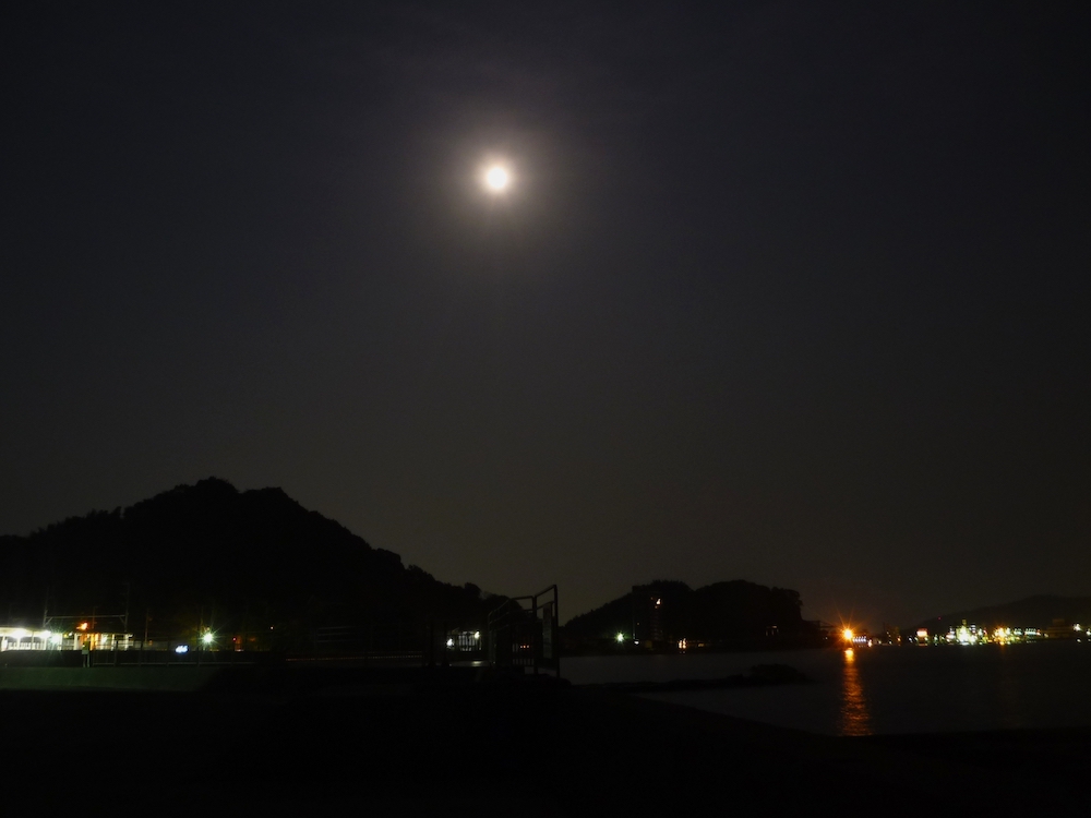 夜のアオリイカ釣り