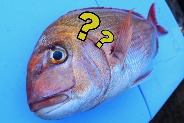 タイラバロッドは代用可能？