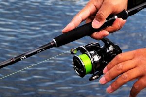 ダイワのレイジーはシーバス入門にも最適