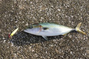 ジグキャスターで釣り！