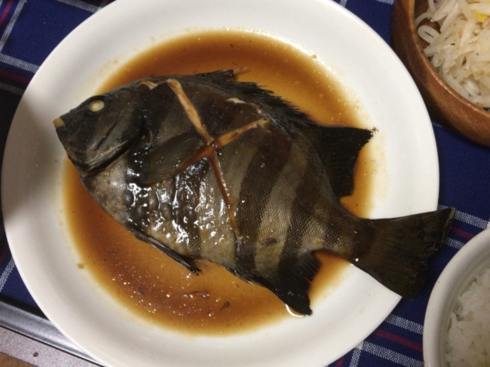 イシダイの美味しい食べ方は？