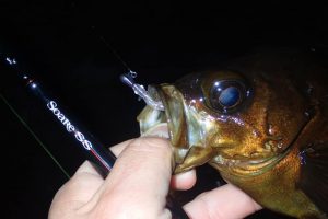 ソアレSSはメバリングで大活躍