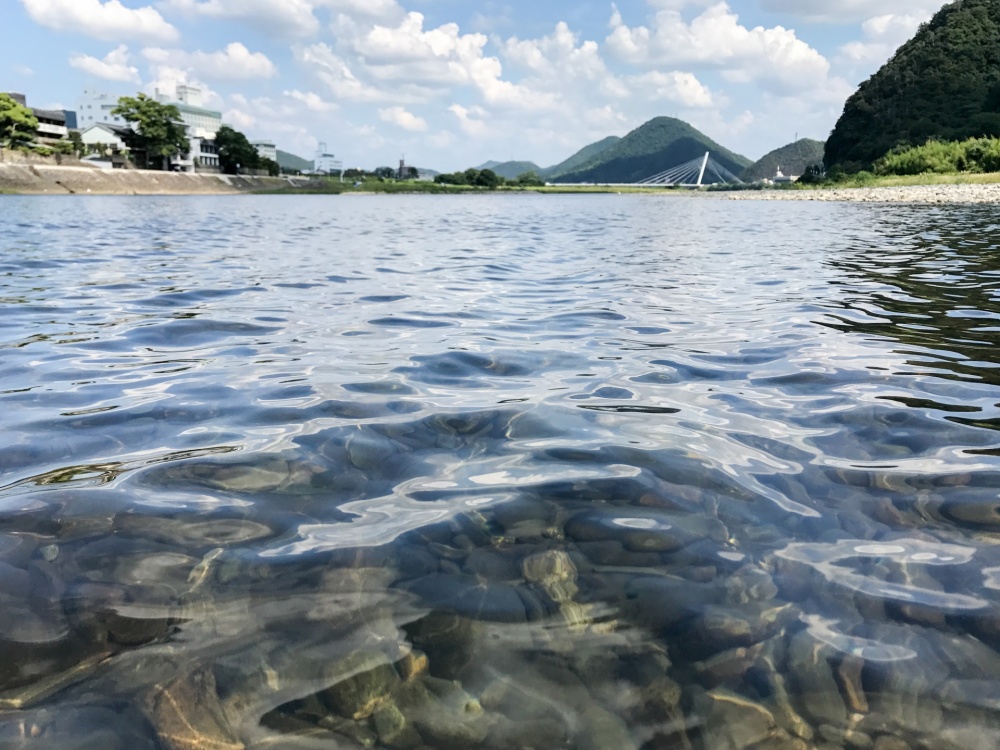 ヘビキャロはどんなポイントで効果的？