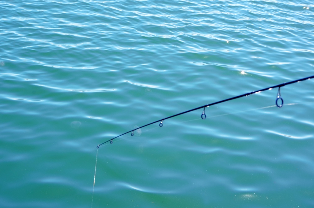 ダイワのショアエギング用ロッドはアウトガイドからインナーガイドまで幅広くラインナップ
