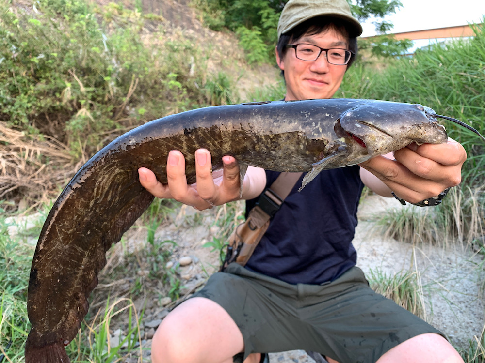 ナマズ釣りを始めてみよう！