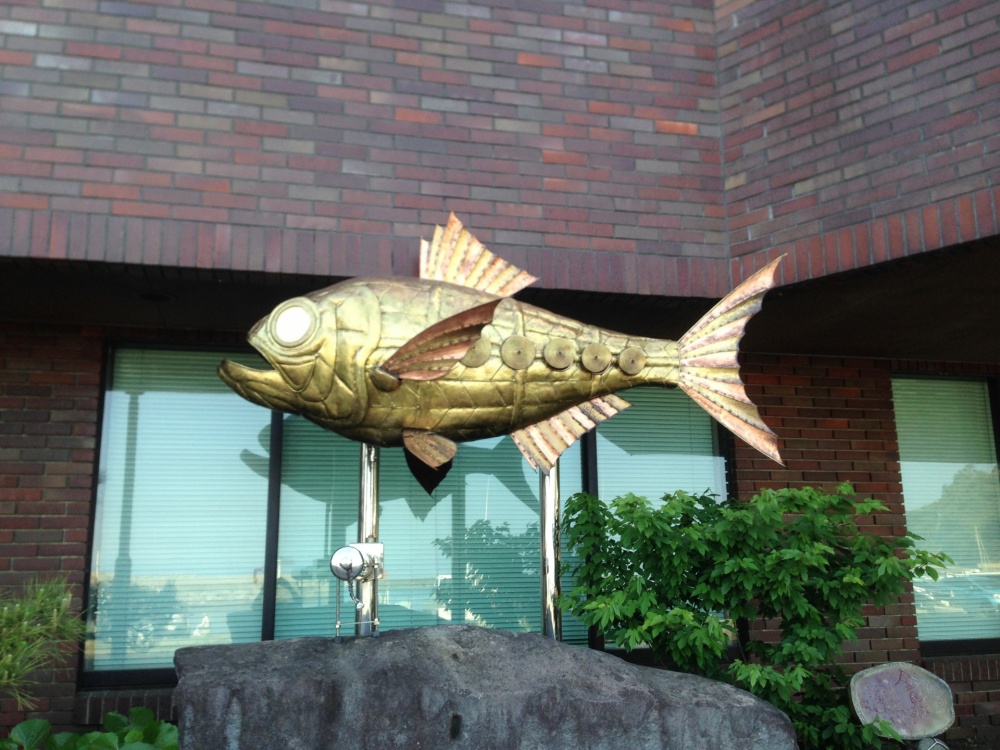 キンメダイは各地でブランド化もされている高級魚