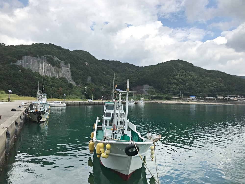 漁港では手軽にカマスのルアーフィッシングが楽しめる！