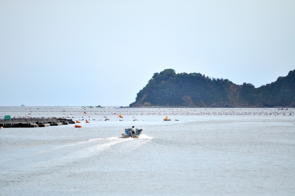 関東に筏釣りポイントはある？