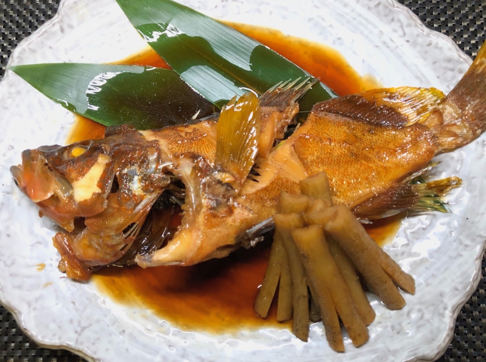 アオハタは刺身や煮つけが美味しい！