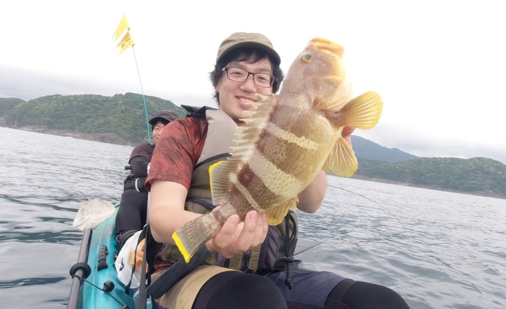 アオハタをタイラバやライトジギングで狙う