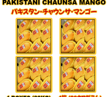 Pakistani Chaunsa Mango 4 BOX-20KG (4 boxes-20kg)