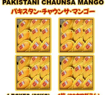 Pakistani Chaunsa Mango 4 BOX-20KG (4 boxes-20kg) | パキスタンチョンサ マンゴー