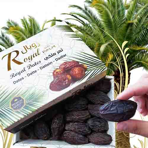 Royal Palm Dates 600g