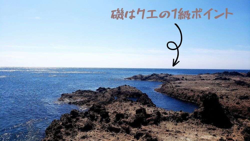 磯はクエ釣りの定番ポイント