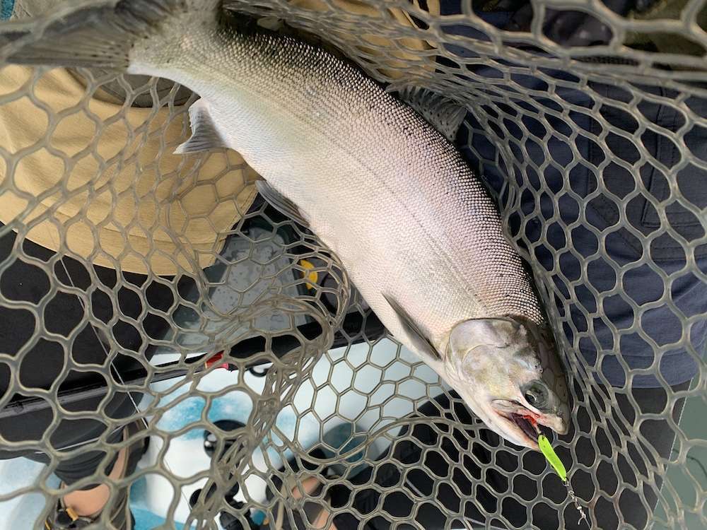 ビワマスをトローリングで釣る