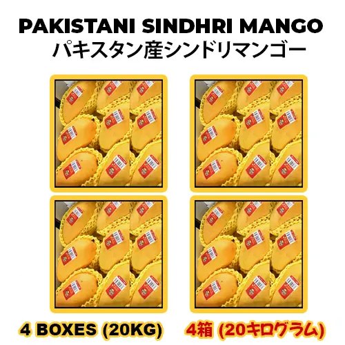 PAKISTANI SINDHRI MANGO パキスタン産シンドリマンゴー 5KG (4BOXES)