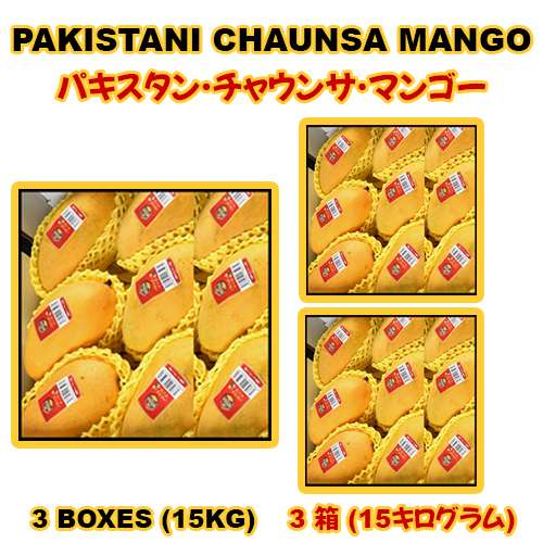 Pakistan Chaunsa Mango 3 Box