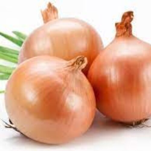 Onion Big Sized – 3 Pieces