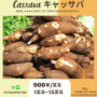 buy cassava online