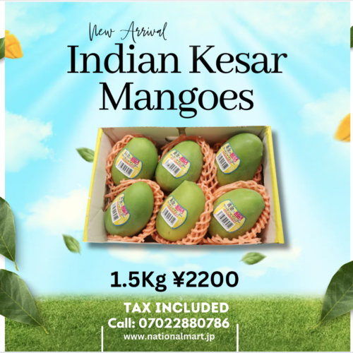 Indian Mango 1.5Kg (gross weight)