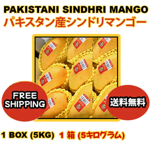 PAKISTANI SINDHRI MANGO 1 BOX 5KG