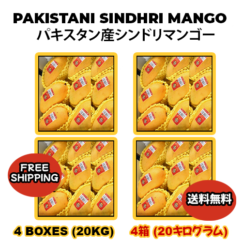 PAKISTANI SINDHRI MANGO 4 BOX 5KG