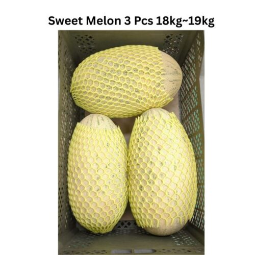 Uzbekistan Sweet Melon- Fresh Imported ( 3 count Case)