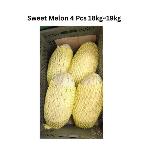 Uzbekistan Sweet Melon- Fresh Imported ( 4 count Case)
