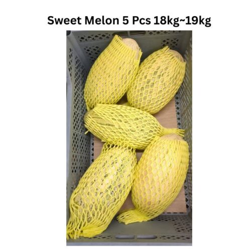 Uzbekistan Sweet Melon- Fresh Imported ( 5 count Case)
