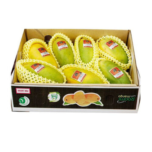 Pakistani Chaunsa Mango 5 KG