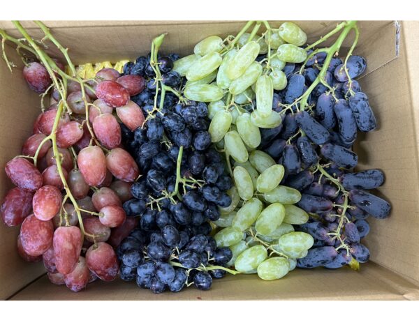 FRESH GRAPES "MIX"