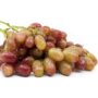 FRESH GRAPES "RIZAMAT"