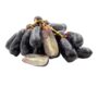 FRESH GRAPES "AVATAR"