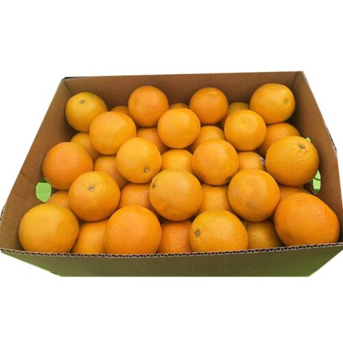 Australian Orange Count 138