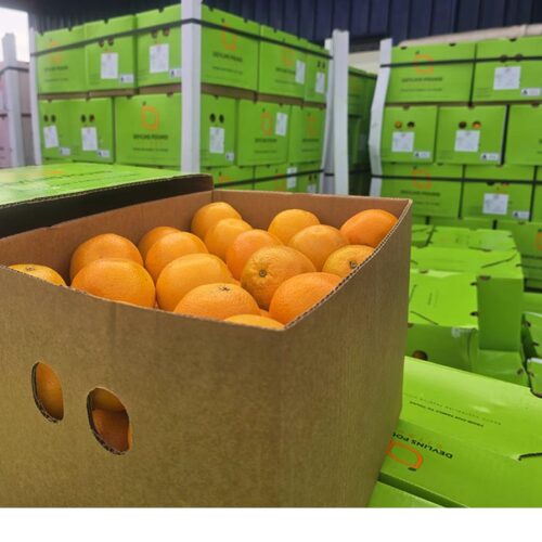 Australian Orange count 64