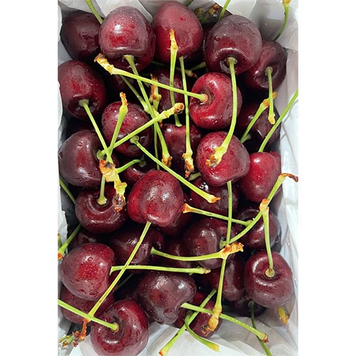 Cherry 26MM 500g
