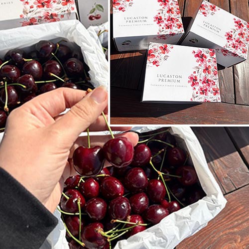 Cherry 28MM 1Kg (Perfect for gift)